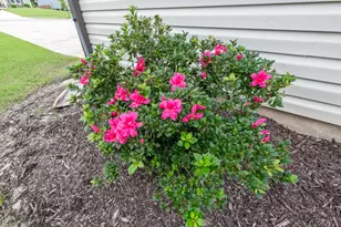 504 Hampton Dr, North Augusta, SC 29860 - Photo 25