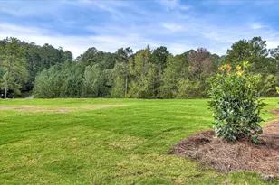 4 Belfast Ct, North Augusta, SC 29860 - Photo 59