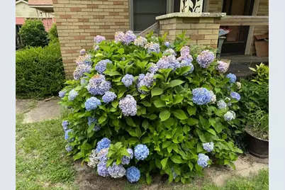 289 Cathy Drive, Warrenville, SC 29851 - Photo 5