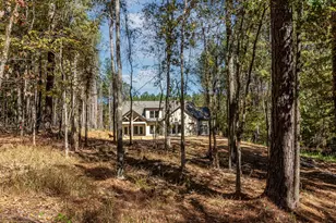 1036 Longleaf Wy, Lincolnton, GA 30817 - Photo 49