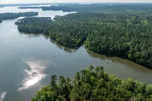 1036 Longleaf Wy, Lincolnton, GA 30817 - Photo 59