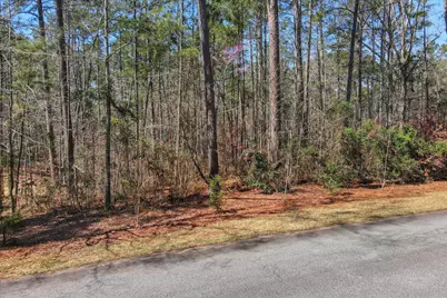 L28 B 3 Bereau Dr Drive, McCormick, SC 29835 - Photo 3