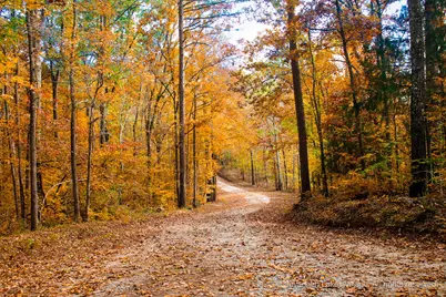 L28 B 3 Bereau Dr Drive, McCormick, SC 29835 - Photo 21