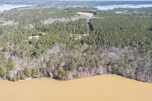 1192 Sunset Cove, Tignall, GA 30668 - Photo 3