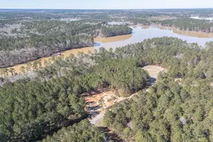 1198 Sunset Cove, Tignall, GA 30668 - Photo 3