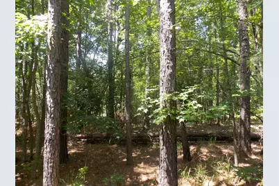 1054 Pine Point Lane, Tignall, GA 30668 - Photo 3