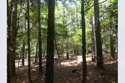 1054 Pine Point Lane, Tignall, GA 30668 - Photo 1