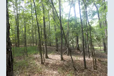 1054 Pine Point Lane, Tignall, GA 30668 - Photo 5