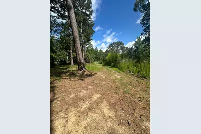 170 Pressley Lane, Hephzibah, GA 30815 - Photo 3