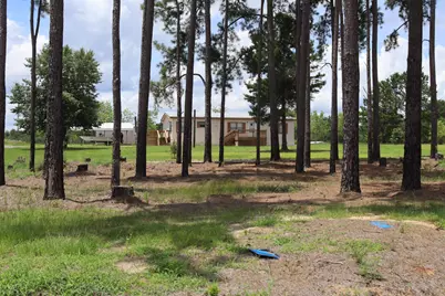 647 Murphy Street, Midville, GA 30441 - Photo 1