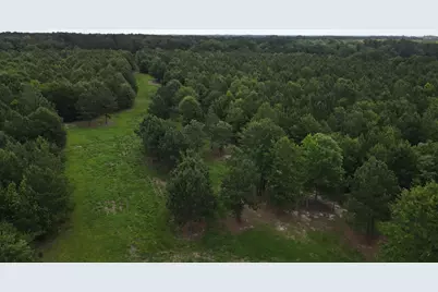 00 Reynolds Road, Barnwell, SC 29812 - Photo 5