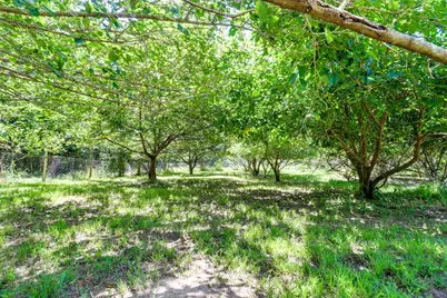 2652 Bethany Church Road, Lincolnton, GA 30817 - Photo 45