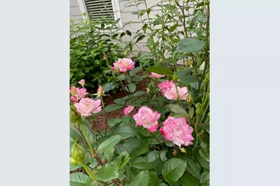 256 Candlewick Loop, McCormick, SC 29835 - Photo 9