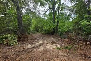 2039 McDade Farm Rd, Hephzibah, GA 30815 - Photo 5