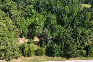 2039 McDade Farm Rd, Hephzibah, GA 30815 - Photo 17