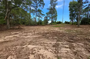 2039 McDade Farm Rd, Hephzibah, GA 30815 - Photo 3