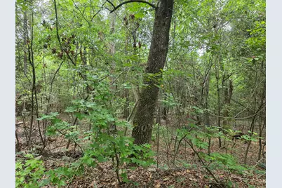 2039 McDade Farm Road, Hephzibah, GA 30815 - Photo 7