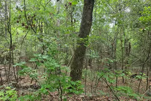 2039 McDade Farm Rd, Hephzibah, GA 30815 - Photo 7