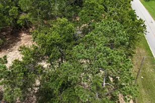 2039 McDade Farm Rd, Hephzibah, GA 30815 - Photo 11