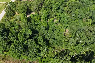 2039 McDade Farm Rd, Hephzibah, GA 30815 - Photo 19