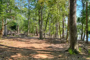 1199 Pawnee Dr, Lincolnton, GA 30817 - Photo 67