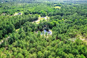 2534 GA-220, Lincolnton, GA 30817 - Photo 39