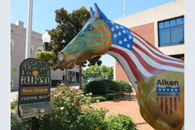 816 Brisbane Court, Graniteville, SC 29829 - Photo 39