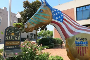 816 Brisbane Ct, Graniteville, SC 29829 - Photo 39