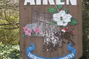 816 Brisbane Ct, Graniteville, SC 29829 - Photo 19