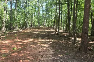 3706 Cooter Creek Rd, Elberton, GA 30635 - Photo 7