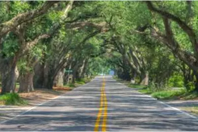 4292 Hartshorn Circle, Aiken, SC 29801 - Photo 47