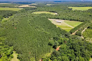 566 Earl Dixon Rd, Girard, GA 30426 - Photo 9