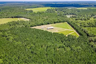 566 Earl Dixon Rd, Girard, GA 30426 - Photo 57