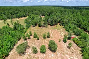 422 Bath Rd Rd, Harlem, GA 30814 - Photo 47