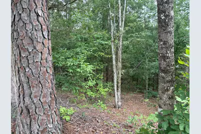 Lot 15 Overlook Point, McCormick, SC 29835 - Photo 3