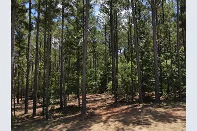 Lot 6 Lighthouse Point, Lincolnton, GA 30817 - Photo 7