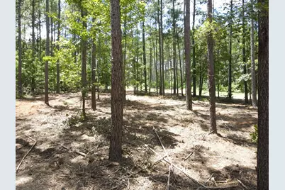 Lot 6 Lighthouse Point, Lincolnton, GA 30817 - Photo 21