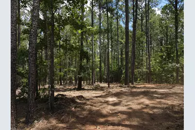 Lot 6 Lighthouse Point, Lincolnton, GA 30817 - Photo 15