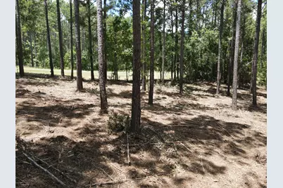 Lot 6 Lighthouse Point, Lincolnton, GA 30817 - Photo 19