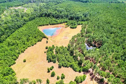 395 New Cut Road, Edgefield, SC 29824 - Photo 53