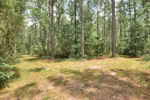 395 New Cut Rd, Edgefield, SC 29824 - Photo 69