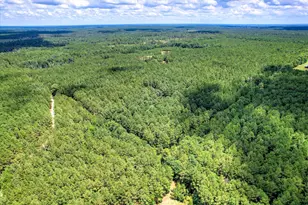 395 New Cut Rd, Edgefield, SC 29824 - Photo 55