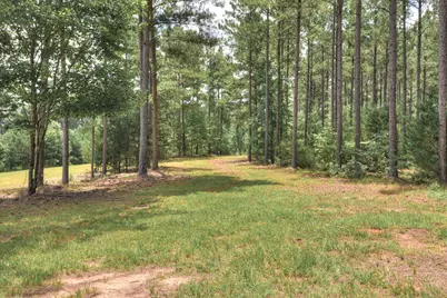 395 New Cut Road, Edgefield, SC 29824 - Photo 65