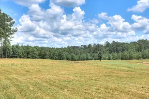 395 New Cut Rd, Edgefield, SC 29824 - Photo 67
