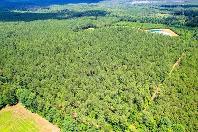 395 New Cut Road, Edgefield, SC 29824 - Photo 75