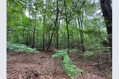 Lot 3A Elberton Highway, Lincolnton, GA 30817 - Photo 9