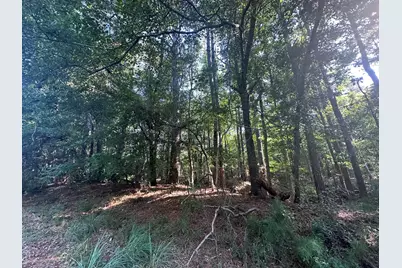 Lot 3A Elberton Highway, Lincolnton, GA 30817 - Photo 15