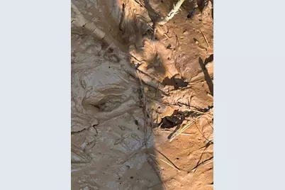 Lot 3A Elberton Highway, Lincolnton, GA 30817 - Photo 19