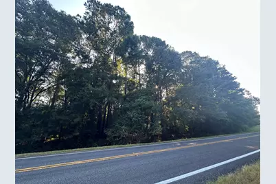 Lot 3A Elberton Highway, Lincolnton, GA 30817 - Photo 3