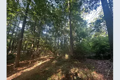 Lot 3A Elberton Highway, Lincolnton, GA 30817 - Photo 13